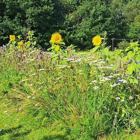 Charming Fjord Cottage-by Traum